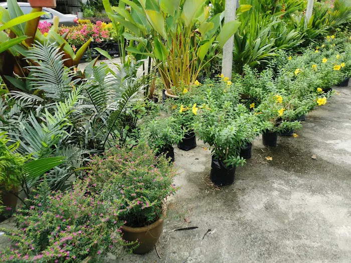 Cahaya Nursery Zainab Picture 10