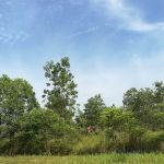 Taman Saujana Rawang