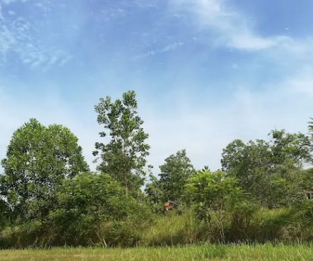 Taman Saujana Rawang