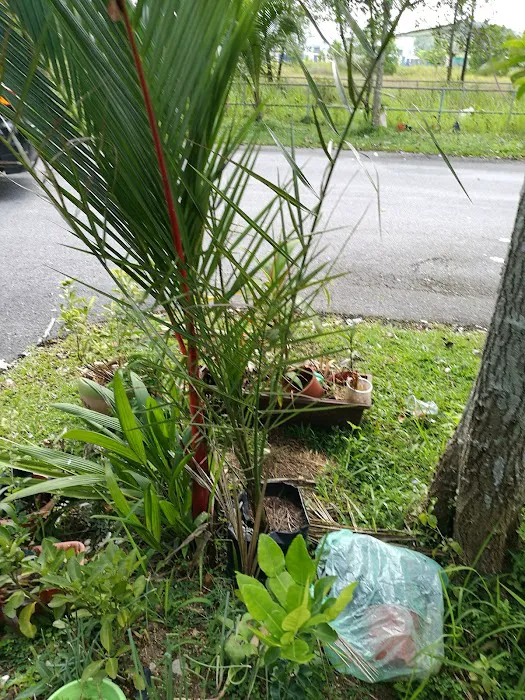 Taman Saujana Rawang Picture 8