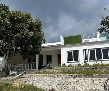 De Puncak Palil