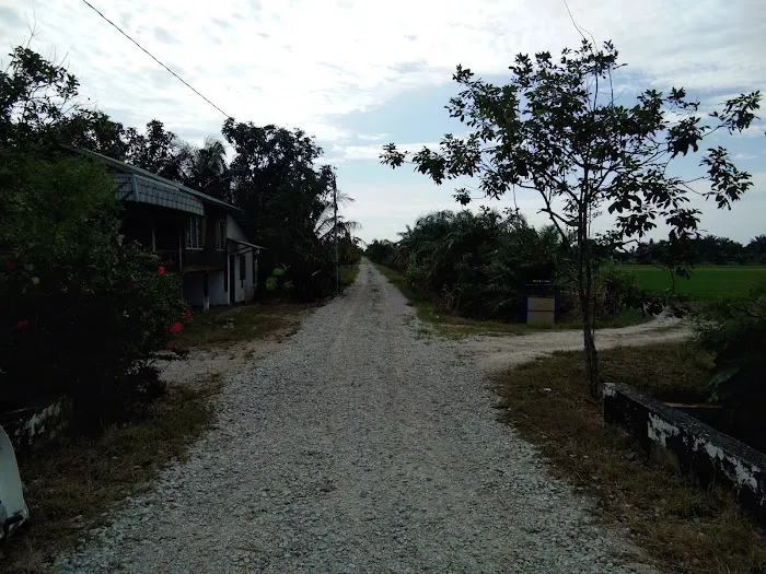 Dansanak Homestay Picture 5