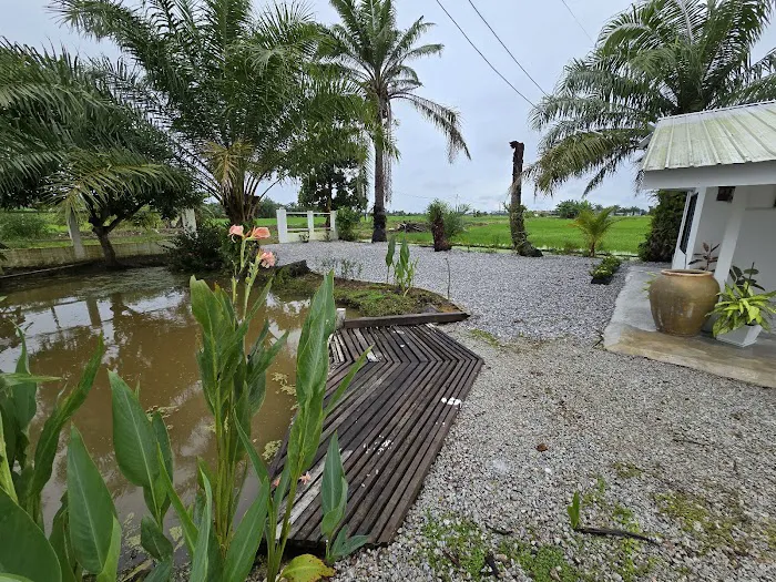 STAY D BENDANG Picture 6