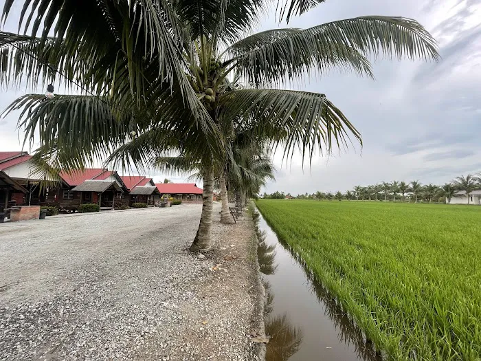 D'sawah Bendang Homestay Picture 8