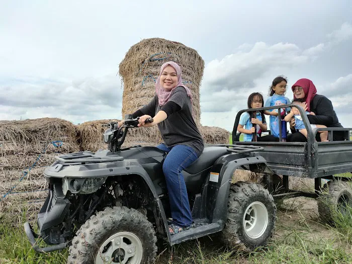 Nazbell Cottage & Garden Sungai Besar Picture 5