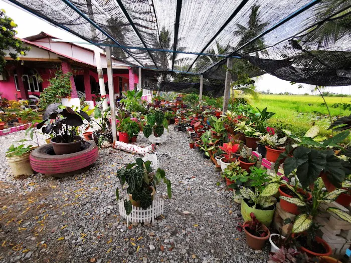 Hijau Senja Cabins (Muslim Chalet) Picture 7