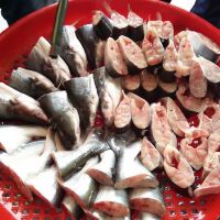 Bangi Homestay ico