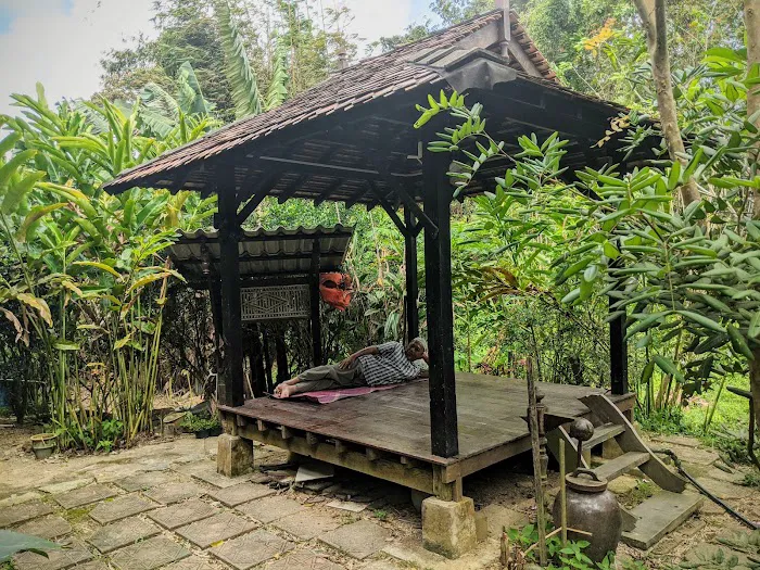 Rumah Singgora Picture 6