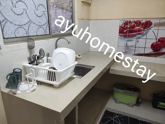 ayu homestay kundang Picture 5