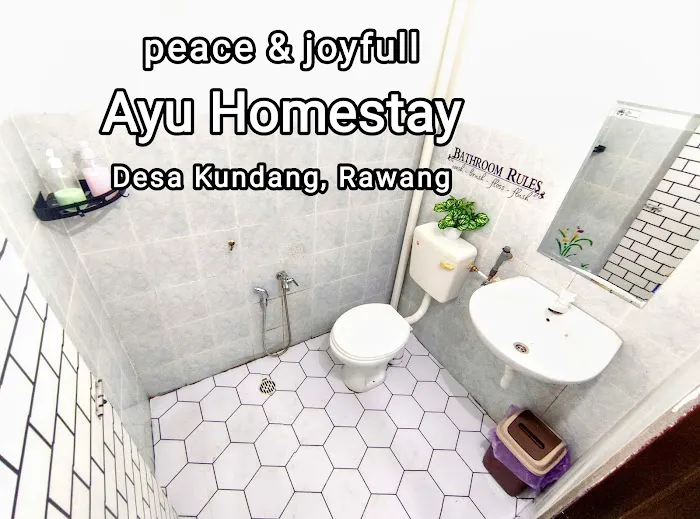 ayu homestay kundang Picture 2