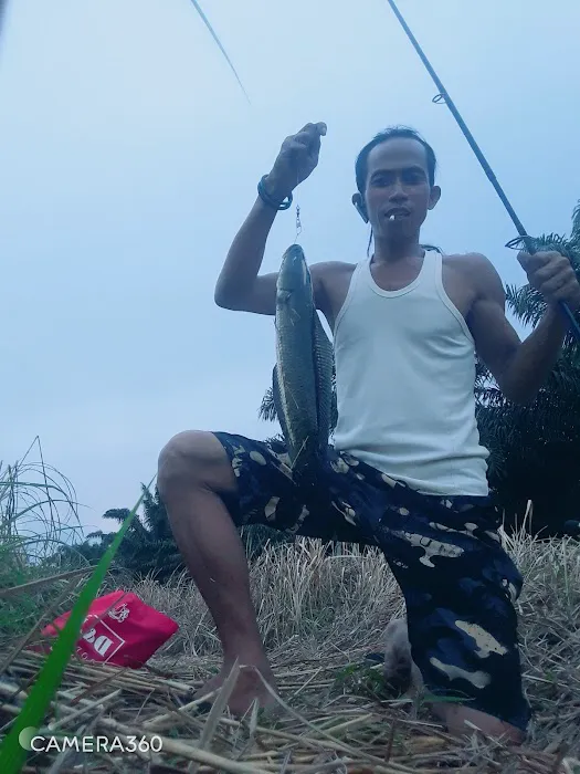 Sutono Perintis Picture 2
