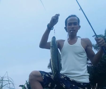 Sutono Perintis