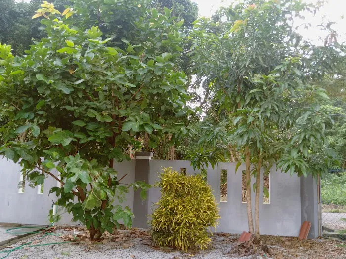 De Bayu Homestay Picture 9