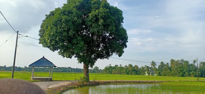 Kampung gajah mati Picture 1