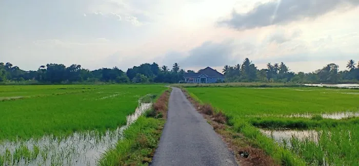 Kampung gajah mati Picture 5