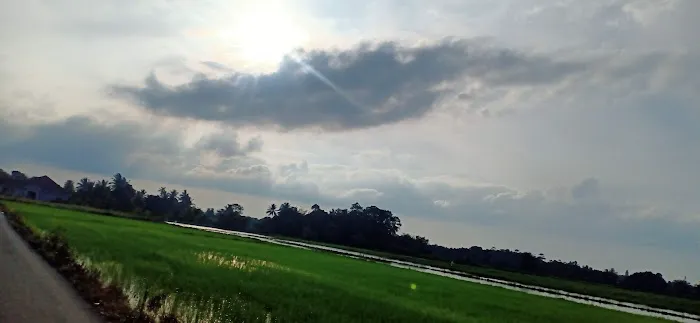 Kampung gajah mati Picture 4