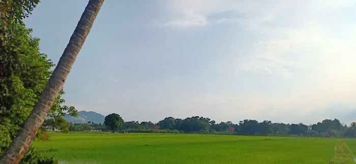 Kampung gajah mati Picture 8