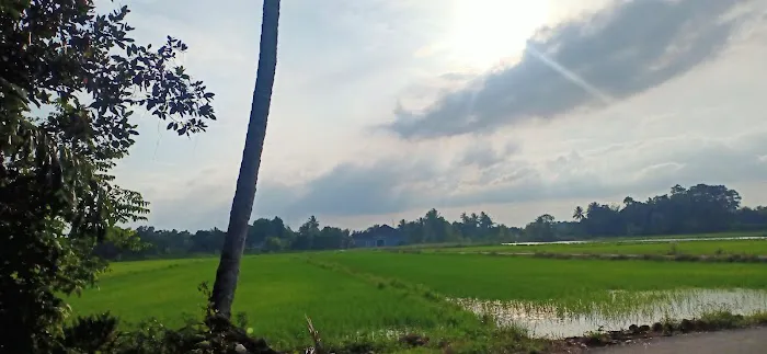 Kampung gajah mati Picture 10