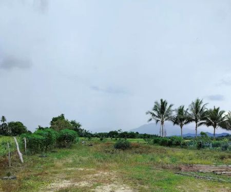 Basa EdEm
