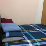 Homestay Mohd Amin