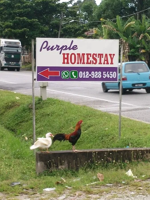 Purple Homestay Picture 7