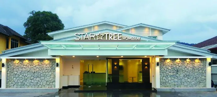 Star Tree Homestay Picture 3