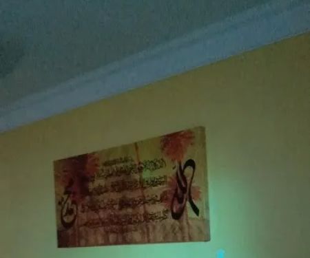 Aladin Ali HOME