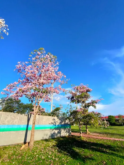 Homestay Kome - Jerantut Picture 10