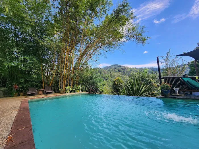 Dusuntara Jungle Resort Picture 1