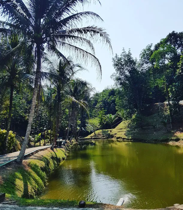 Dusuntara Jungle Resort Picture 6