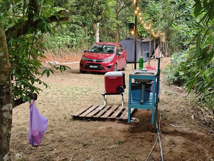 Otai Campsite Picture 7