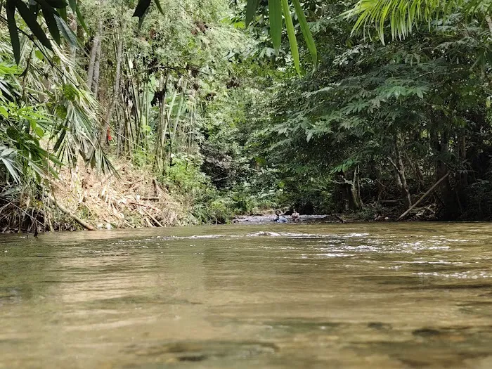 Otai Campsite Picture 4