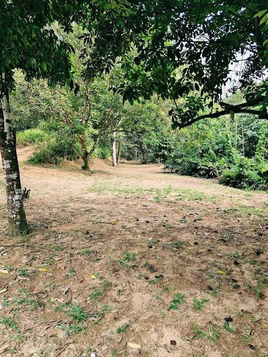 Otai Campsite Picture 3