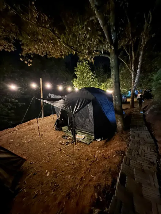 Otai Campsite Picture 1