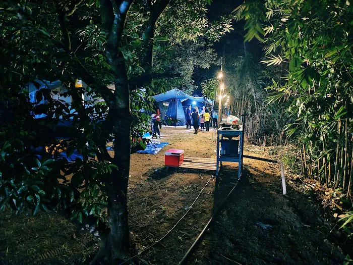 Otai Campsite Picture 5