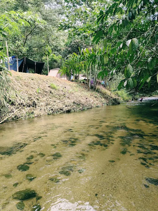 Otai Campsite Picture 2