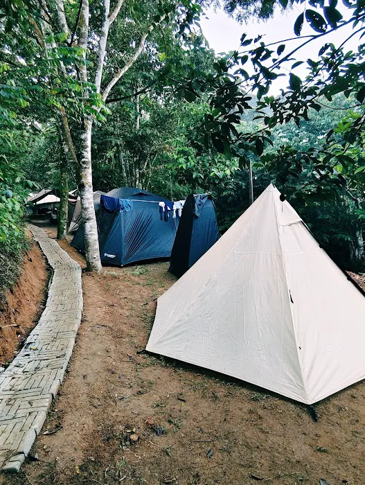 Otai Campsite Picture 6