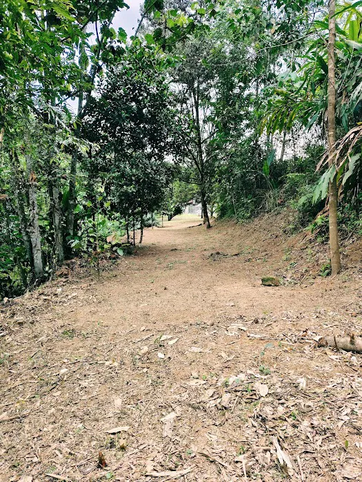 Otai Campsite Picture 10