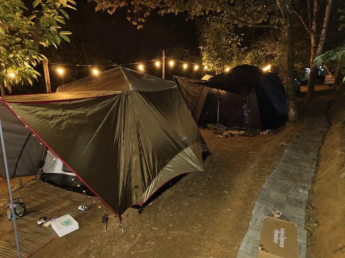 Otai Campsite Picture 9