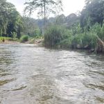 Dusun Apak Kawww