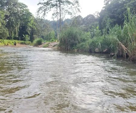 Dusun Apak Kawww