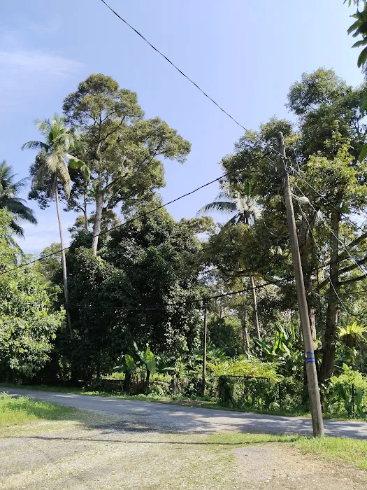 Ruma.Dusun Picture 9