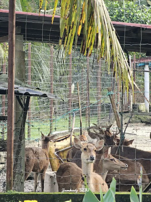 Desa Kaloi Farmhouse Picture 7
