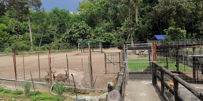 Desa Kaloi Farmhouse Picture 10