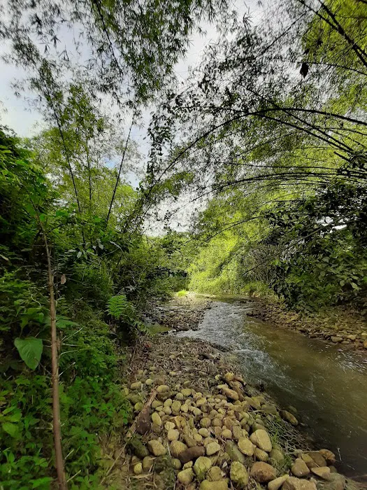Takana Juo Eco Stay Ulu Yam Picture 3