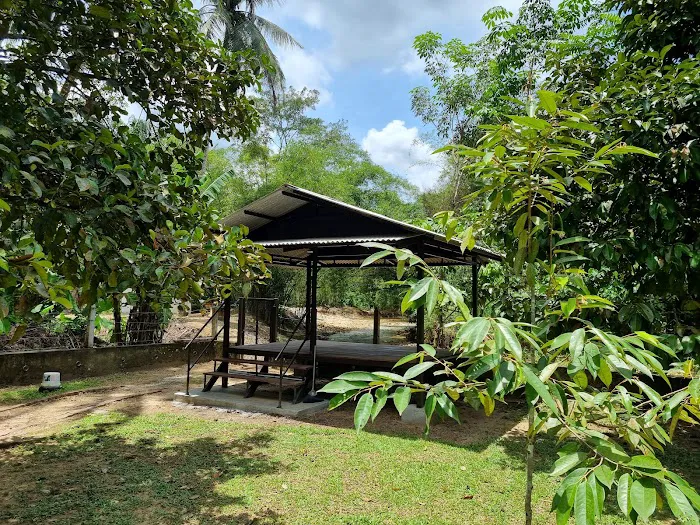 Takana Juo Eco Stay Ulu Yam Picture 2