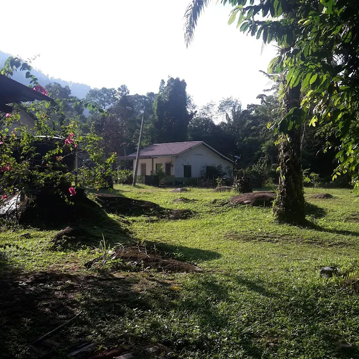 Mashomestay Picture 3