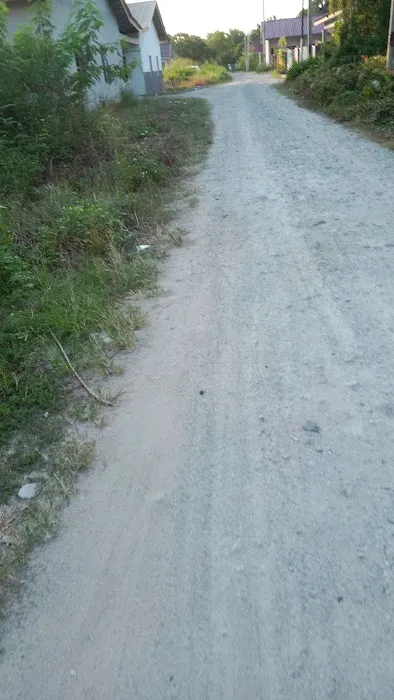 Kampung Sungai Pinang Picture 4