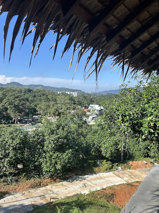 Maju Farm house Picture 9