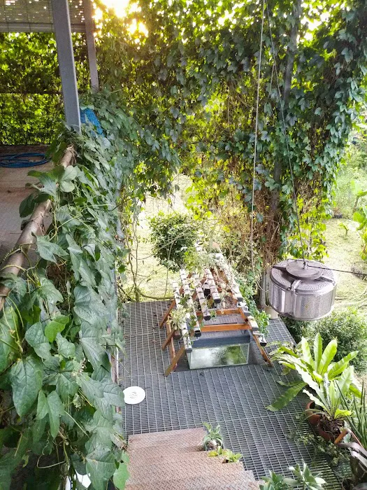 TokNenek Homeaway Picture 8